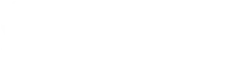 Diktamo White Logo